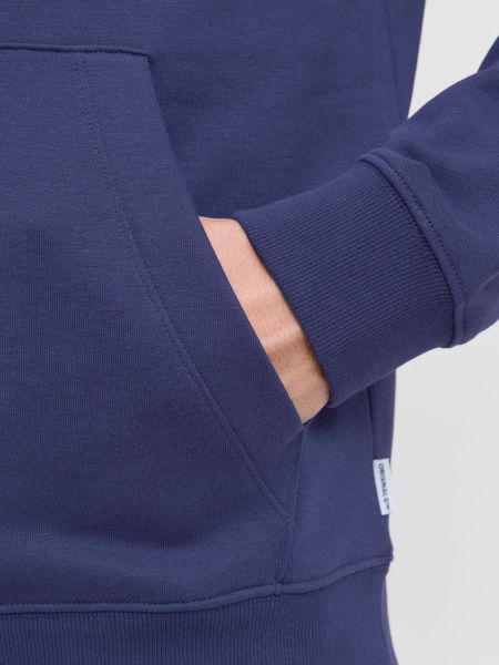 Jack & Jones Kapuzensweatshirt JORINWOOD BLOCK günstig online kaufen
