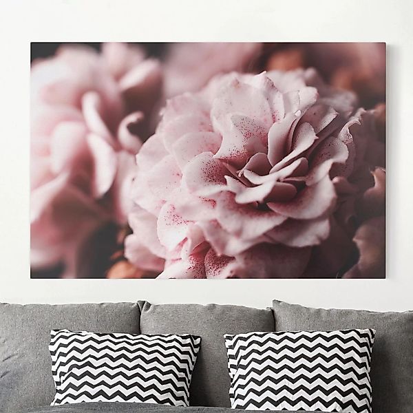 Leinwandbild Blumen - Querformat Shabby Rosa Rose Pastell günstig online kaufen