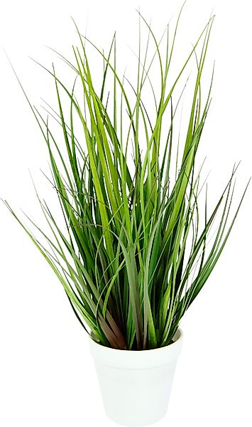 Kunstpflanze Grasbusch, I.GE.A., Höhe 43 cm, günstig online kaufen