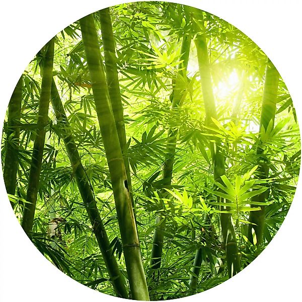 Erfurt Fototapete Vlies Bambus Wald Ø 140 cm günstig online kaufen