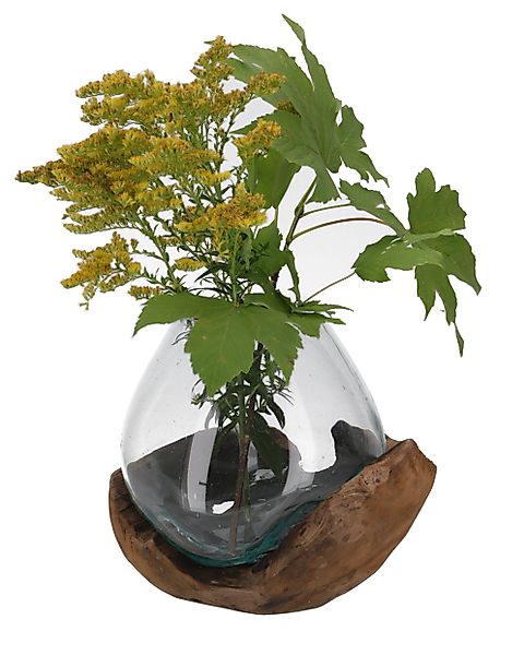 Guru-Shop Dekovase Wurzelholz Vase, Schale - günstig online kaufen