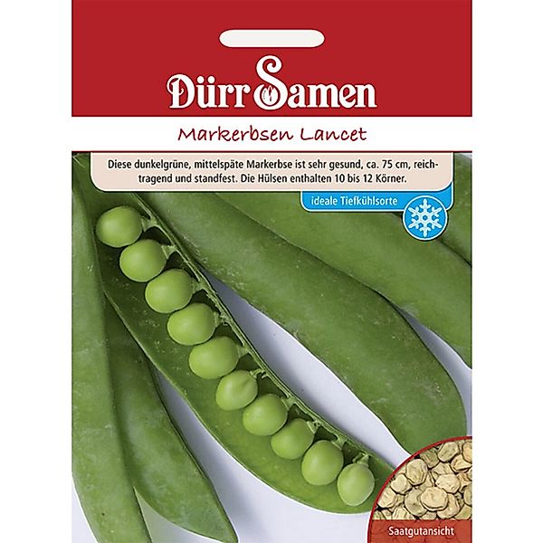 Dürr Samen Markerbsen Lancet Saatgut günstig online kaufen