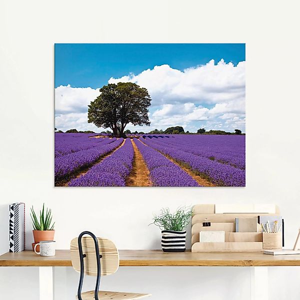 Artland Glasbild »Schönes Lavendelfeld im Sommer«, Felder, (1 St.), in vers günstig online kaufen