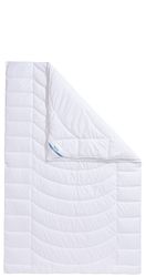 Beco Kunstfaserbettdecke "Gregor, Bettdecken für Sommer und Winter, Ganzjah günstig online kaufen