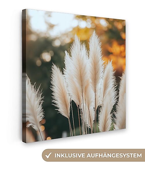 OneMillionCanvasses® Leinwandbild Pampasgras - Federn - günstig online kaufen
