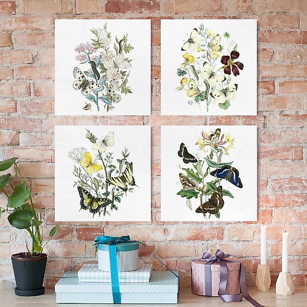 4-teiliges Leinwandbild Blumen - Quadrat Britische Schmetterlinge Set II günstig online kaufen