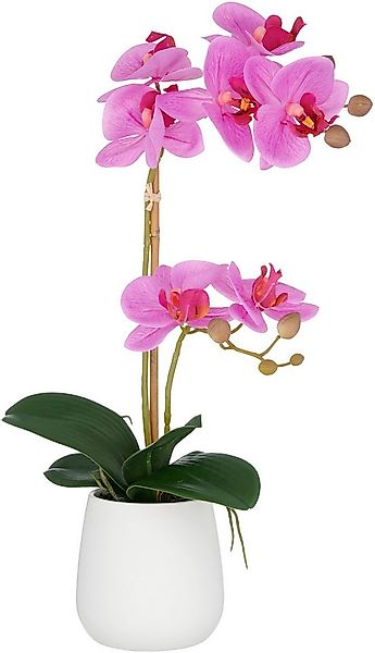 Kunstorchidee Orchidee Phalaenopsis, Creativ green, Höhe 50 cm, mit dauerha günstig online kaufen