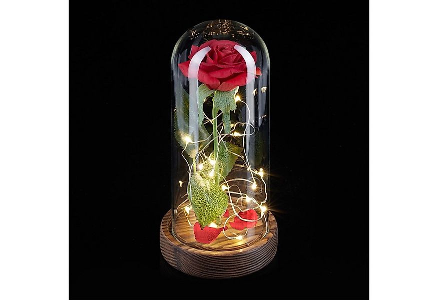 Kunstblume Ewige Rose im Glas mit Licht, relaxdays, Höhe 22 cm günstig online kaufen