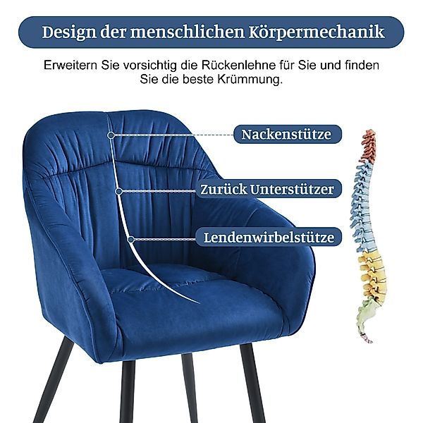 HAUSS SPOLE Esszimmerstuhl 6 St mit günstig online kaufen