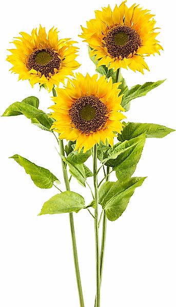 Kunstblume XL, Creativ green, Höhe 110 günstig online kaufen
