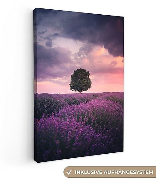 OneMillionCanvasses® Leinwandbild Lavendel - Blumen - Lila - Baum - Natur, günstig online kaufen