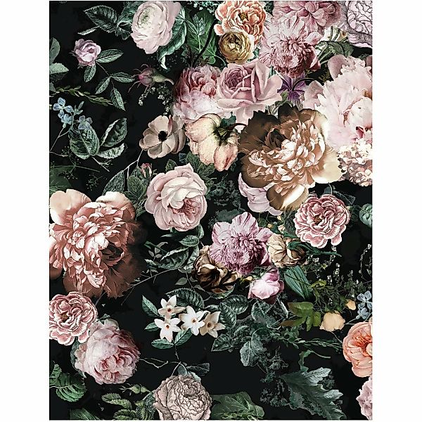 Komar Wandbild Charming Wild 50 x 70 cm günstig online kaufen