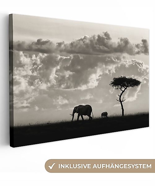 OneMillionCanvasses® Leinwandbild Wolke - Elefant - günstig online kaufen