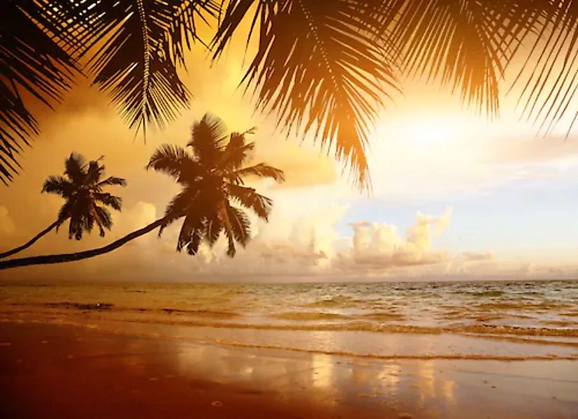 Papermoon Fototapete »PALMEN-STRAND-KARIBIK SÜDSEE MEER DÜNEN SONNE OZEAN X günstig online kaufen