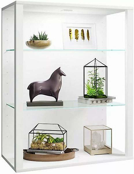 VCM Wandregal "olz Glas Stand Vitrine Sammelvitrine Glasol LW" günstig online kaufen