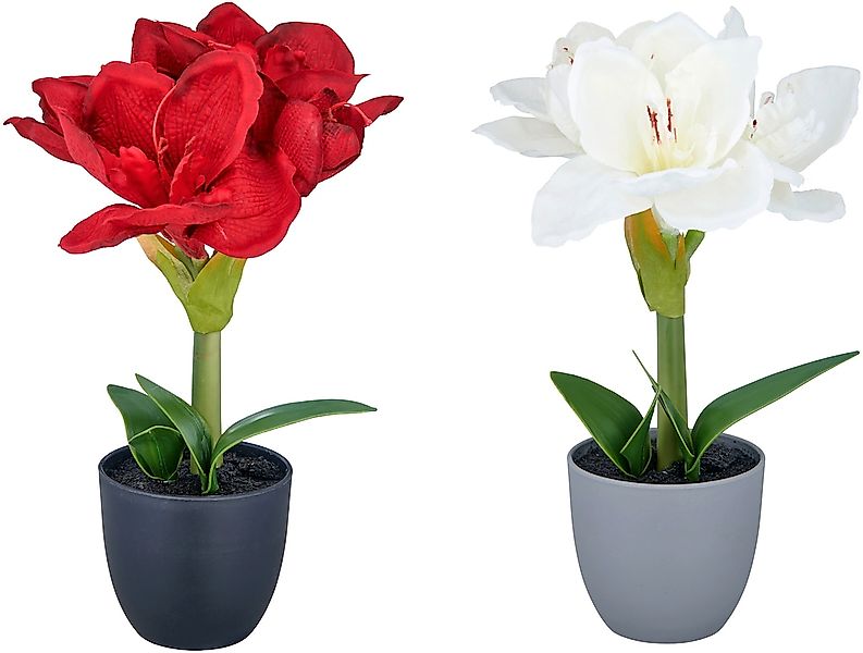 Creativ green Kunstblume "Amaryllis" günstig online kaufen