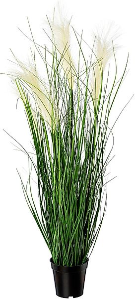 Kunstgras Pampasgras Gras, Creativ green, Höhe günstig online kaufen