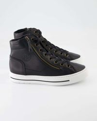 Paul Green 4024-026 Schnürstiefelette Obermaterial: Leder günstig online kaufen