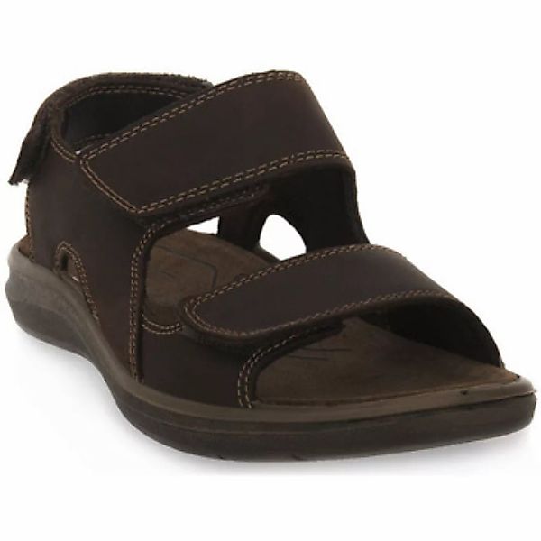 Enval  Sandalen PACIFIC MARRONE günstig online kaufen