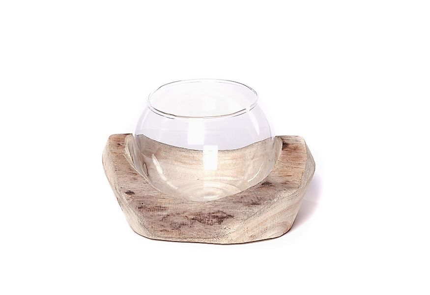 CREEDWOOD Windlicht Wurzelholz Windlicht "NURIA", mit Glaseinsatz, Vase, Ke günstig online kaufen