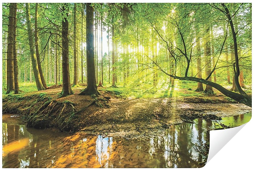 Wallarena Fototapete Wald Sonne Vlies Tapete günstig online kaufen