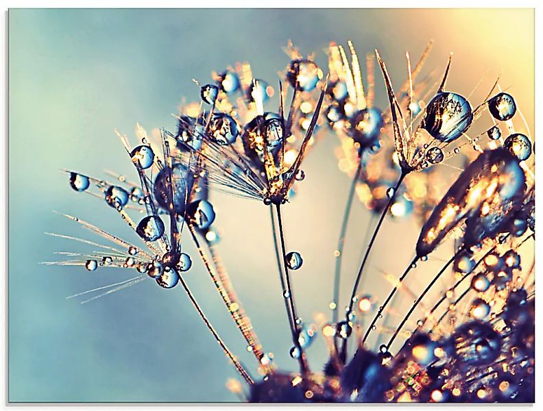 Artland Glasbild "Pusteblume Glitzertau" Blumen 1 Stk. tlg. in verschiedene günstig online kaufen