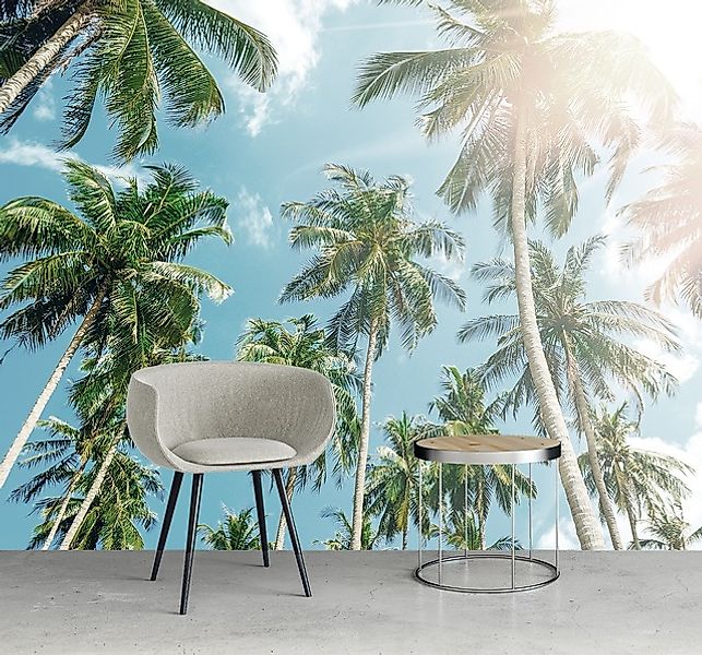 queence Fototapete »Palmen mit Himmel«, bedruckt-Motiv-realistisch, Wandpan günstig online kaufen