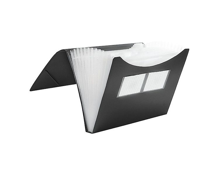 FOLDERSYS Fächermappe, 12 Fächer, DIN A4 günstig online kaufen
