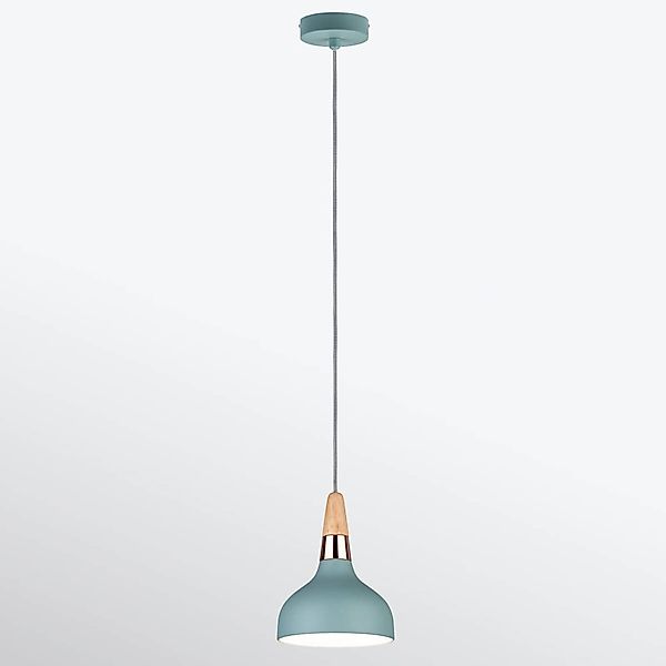 Paulmann Pendelleuchte »Neordic Juna 160mm max. 1x20W Softgrün 230V«, 1 fla günstig online kaufen