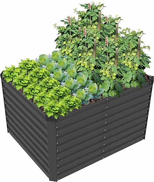 KONIFERA Hochbeet "Emmy, bodenloses Gartenbeet aus verzinktem Stahl", mit V günstig online kaufen