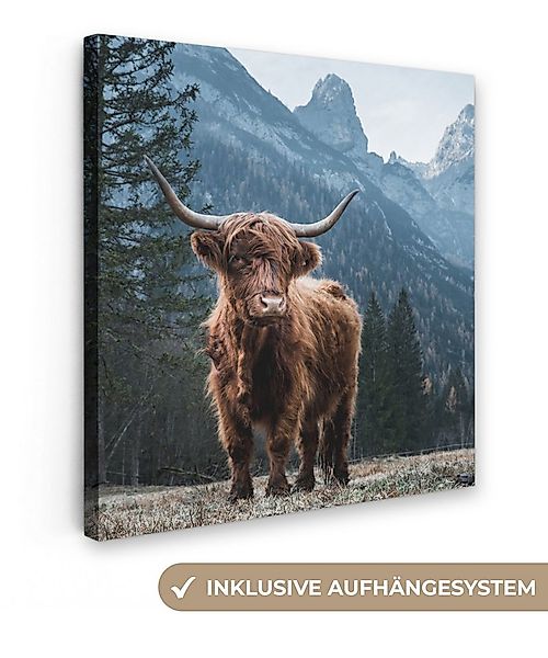 OneMillionCanvasses® Leinwandbild Schottische Highlander - Berg - Landschaf günstig online kaufen
