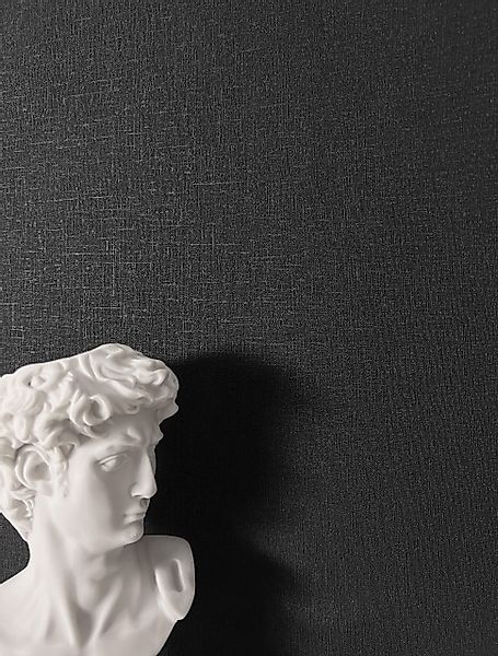 Newroom Vliestapete, Schwarz Tapete Uni Einfarbig günstig online kaufen