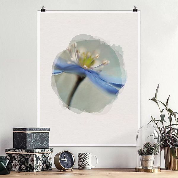 Poster Blumen - Hochformat Wasserfarben - Tanzende Anemonen günstig online kaufen