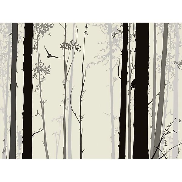 Sanders & Sanders Fototapete Bäume Schwarz und Grau 3,6 x 2,7 m 600979 günstig online kaufen