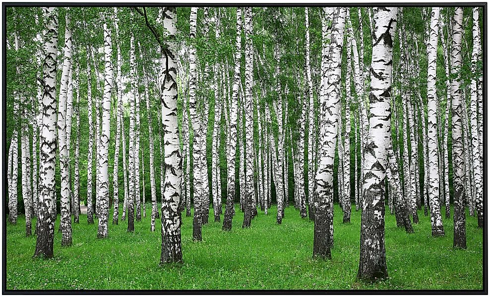 Papermoon Infrarotheizung »Sommer Birkenwald«, sehr angenehme Strahlungswär günstig online kaufen