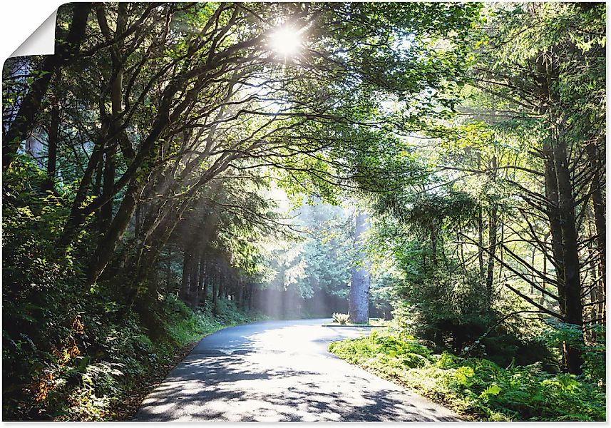 Artland Wandbild "Sonniger Wald" Baumbilder 1 Stk. tlg. als Alubild, Outdoo günstig online kaufen