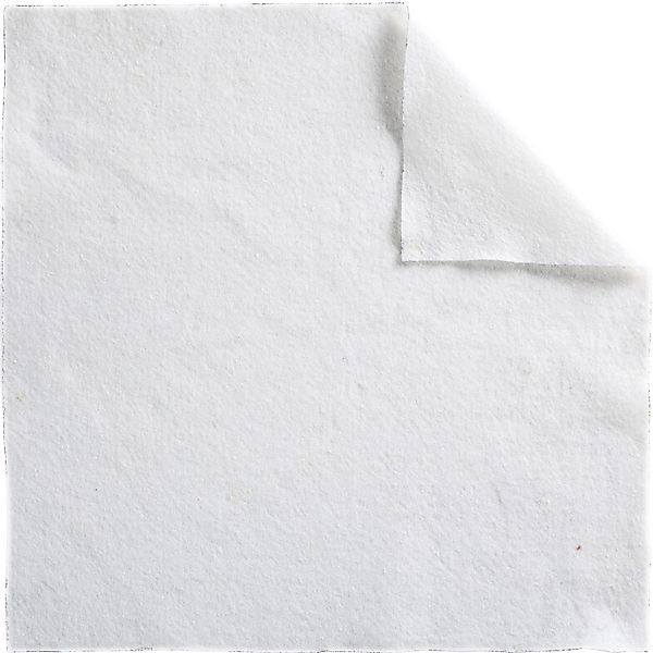 Heissner Teichvlies Profi Teichvlies, 4 x 4 m, 200g/m² günstig online kaufen