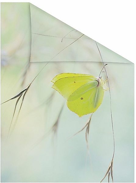 LICHTBLICK ORIGINAL Fensterfolie Schmetterling Grün, blickdicht, strukturie günstig online kaufen