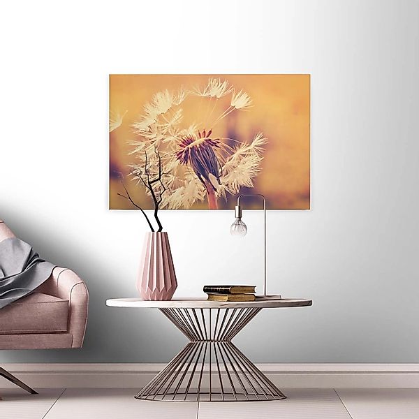 A.S. Création Leinwandbild "Dandelion" Gemälde  Kunst 1 Stk. tlg. Pusteblum günstig online kaufen