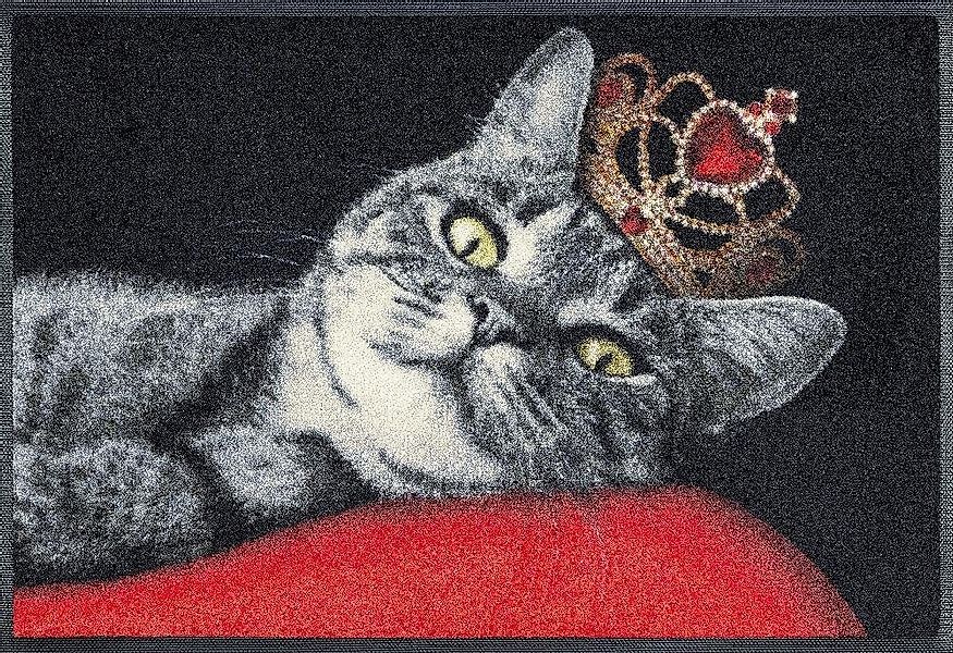 wash+dry by Kleen-Tex Fußmatte Royal Cat, günstig online kaufen