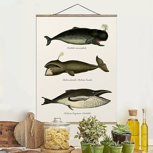 Stoffbild Tiere mit Posterleisten - Hochformat Drei Vintage Wale günstig online kaufen