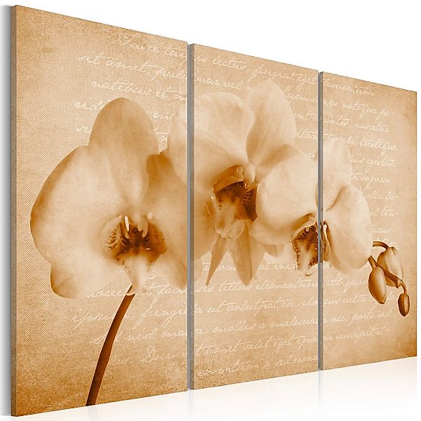 Wandbild - Orchidee (Vintage) günstig online kaufen