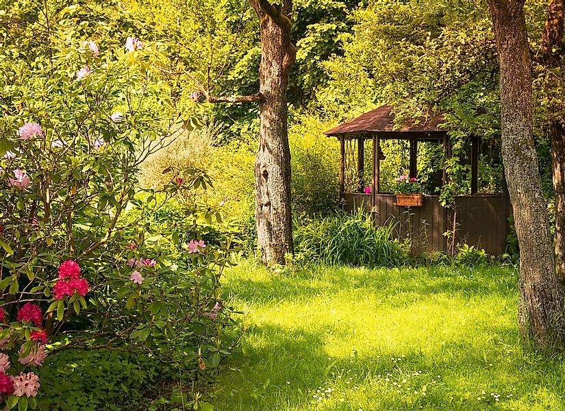 Papermoon Fototapete "Magic Garden" glatt günstig online kaufen