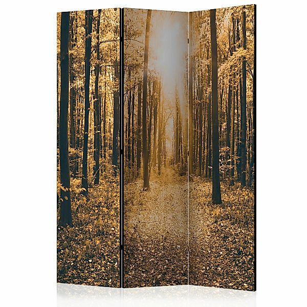 3-teiliges Paravent - Magical Light [room Dividers] günstig online kaufen