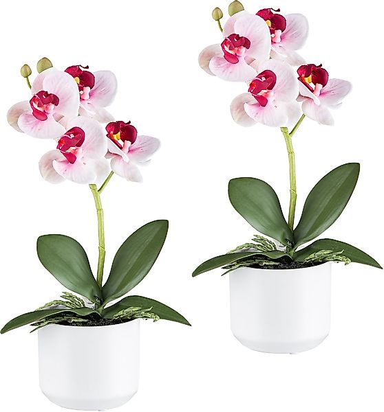Creativ green Kunstorchidee "Orchidee Phalaenopsis", mit real-touch-Blüten günstig online kaufen