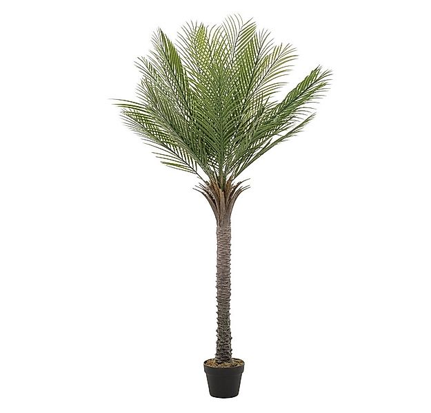 Kunstpflanze Künstliche Pflanze für Wohnräume & Garten dekorative Zimmerpfl günstig online kaufen