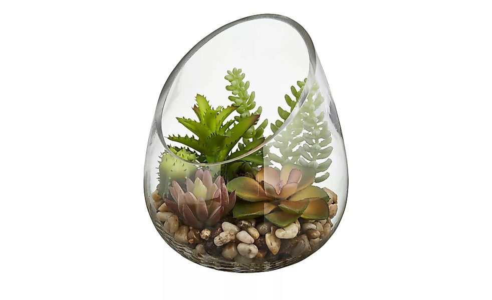 Sukkulente im Glas - grün - Glas , Kunststoff, Naturprodukte - 16,5 cm - De günstig online kaufen