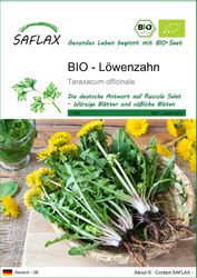 SAFLAX Kräutersamen SAFLAX - Samen - günstig online kaufen