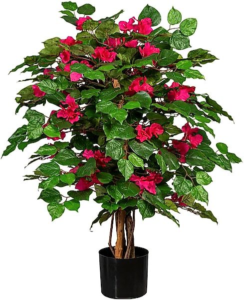 Creativ green Kunstpflanze »Bougainvillea« günstig online kaufen