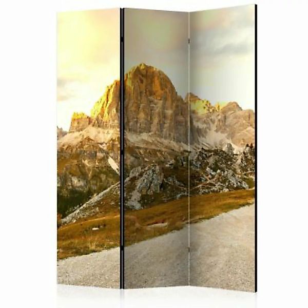 artgeist Paravent Beautiful Dolomites [Room Dividers] mehrfarbig Gr. 135 x günstig online kaufen
